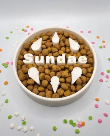 Personalized Ice Cream Cone Slow Feeder Dog Bowl – Custom Pet Dish