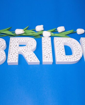 Fillable Tray BRIDE Letters - Personalize Your Special Day / Box Letter / Dishes Lot of 5