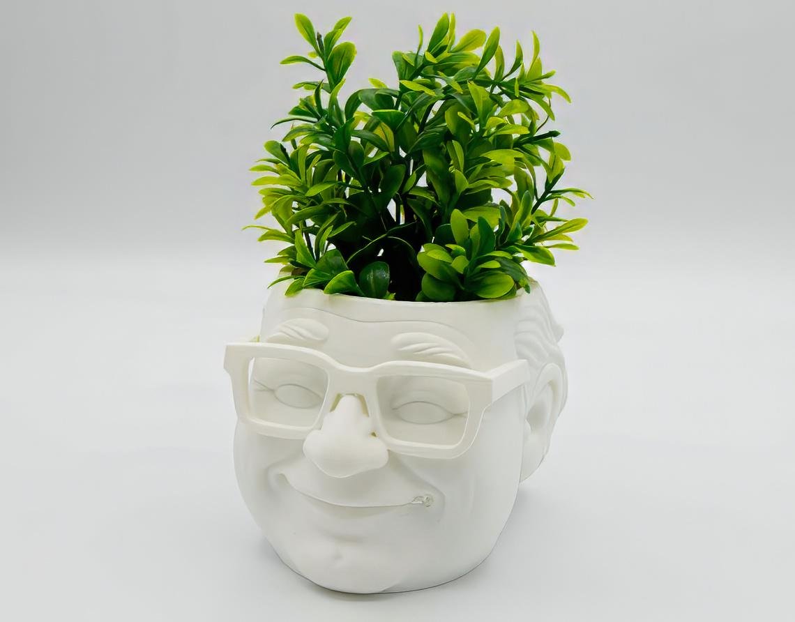 Danny DeVito Frank Reynolds Planter | It's Always Sunny Gift | Funny 3d Printed - Image 2