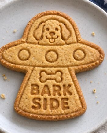 Bark Side UFO Cookie Cutter and Stamp Set, 3-Inch Space Dog