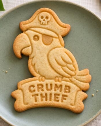 Pirate Parrot Cookie Cutter and Stamp Set, Crumb Thief, 3 Inch
