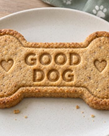 Good Dog Bone Cookie Cutter and Stamp Set, 3 Inch